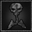 Secret Key