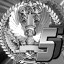 Platinum medal Version B