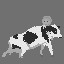 Cow Saver