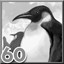 King Penguins
