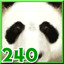 Giant Pandas