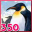 King Penguins