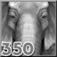 Asian Elephant
