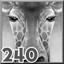 Giraffes