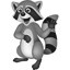 racoon