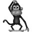 monkey