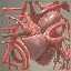 Heart Surgery
