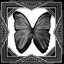 Buterfly