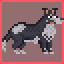 Immortal dog