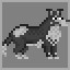 Immortal dog