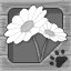 Flower Fanatic