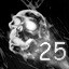 Destroy 25 enemies!