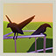 The Crows