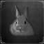 Bunny Grabber