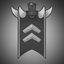 Skilled warrior