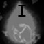 Fireball Survivor (Rookie)