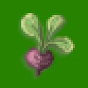🌱