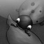 Bug Eater