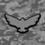 Netplay Warrior