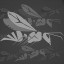 Pest Control Specialist 2/2