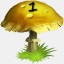 Mushrooms Collected 1