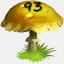 Mushrooms Collected 93