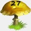Mushrooms Collected 27