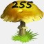 Mushrooms Collected 255