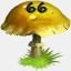 Mushrooms Collected 66