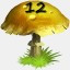 Mushrooms Collected 12