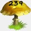 Mushrooms Collected 239