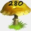 Mushrooms Collected 280