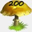 Mushrooms Collected 200
