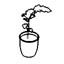 plant_in_roof