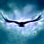 Like A Crow On A Wire