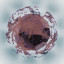 Water-soluble