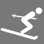 Skiing Pro
