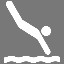 Diving Pro