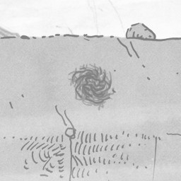 Seaweed, not Tumbleweed