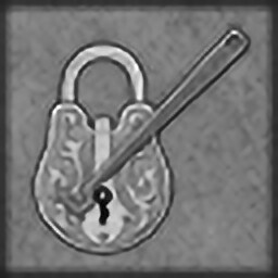 Experienced thief