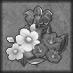 Flower expert