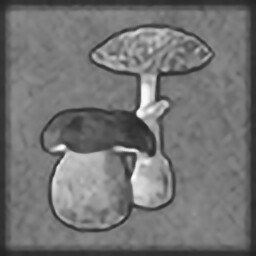Mushroom picker