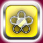 s62