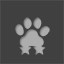 Animals 2