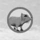 Arctic Fox
