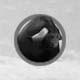 Musk Ox