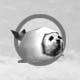 Harp Seal
