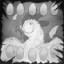 Chicken soup