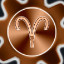 Symbol 13