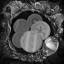 Numismatist